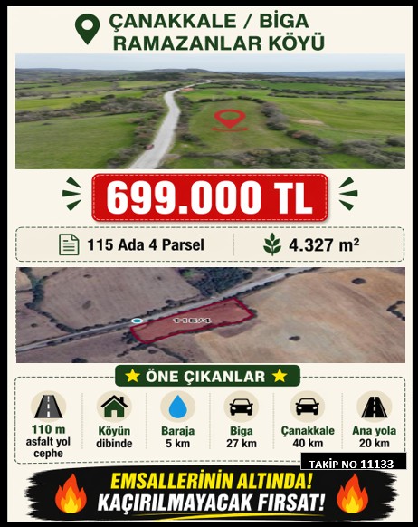 İlan No: 11133